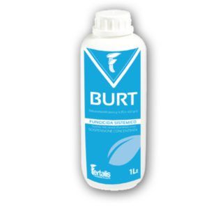 Burt