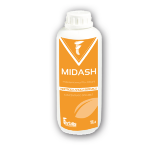 Midash